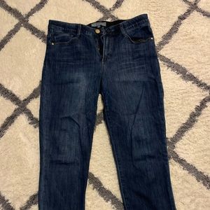 Wit and Wisdom Ab-solution High Waist Skinny Jeans